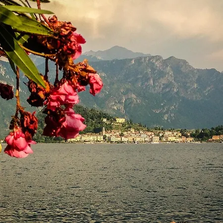 La Casa Di Celeste *